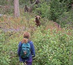 que hacer si conociera a un oso en el bosque en el verano