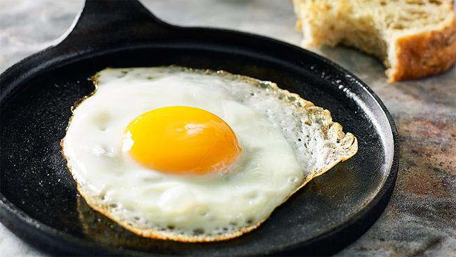 ¿Pueden los pollos llevar huevos sin una polla? ¿Los pollos comen huevos sin una polla?