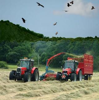 Agricultura de Gran Bretaña. Productos agrícolas del Reino Unido