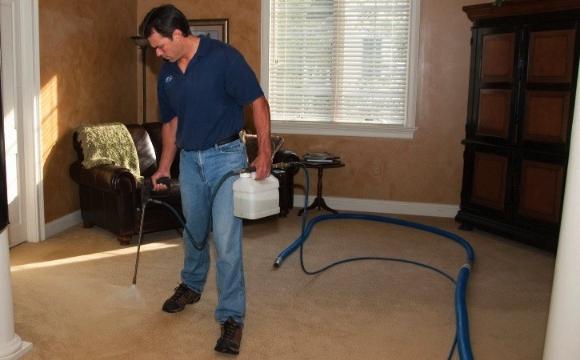 Cómo limpiar la alfombra en su propia casa?
