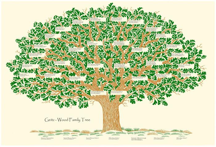 Cómo crear un árbol genealógico El programa para construir un árbol genealógico