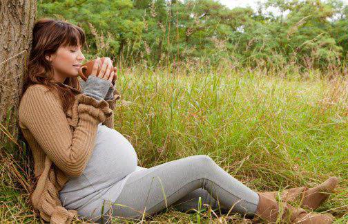 ¿Es posible que las mujeres embarazadas beban alcohol, café, leche?