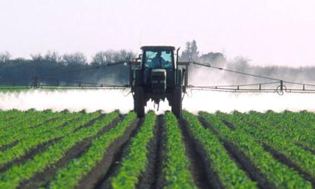 Campo procesado de manera cualitativa: una forma efectiva de controlar las plagas