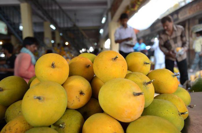 Mango Sobre los beneficios y daños de las frutas tropicales