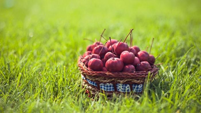 Compota de mermelada y compota de frutas