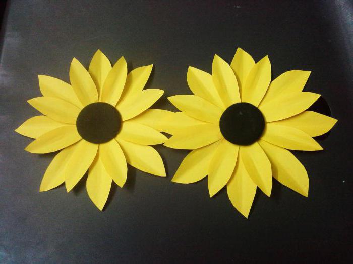 aplicación de papel de girasol