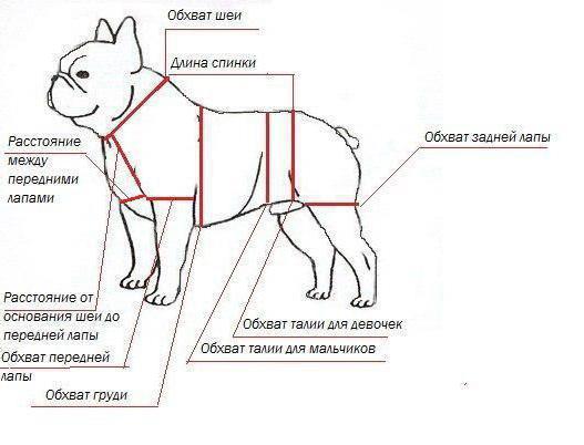 overoles para perros