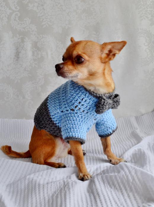 Sweater para perros con sus propias manos