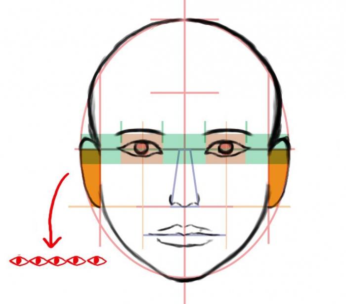 cómo dibujar la cara de una persona