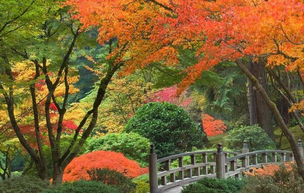 Paisaje de otoño a través de los ojos de escritores, compositores y poetas