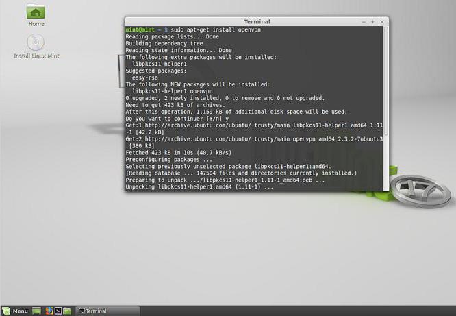 Linux Mint cómo instalar: instrucciones, características y revisiones paso a paso