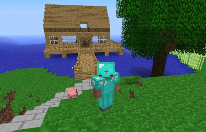 "Meincraft": cómo hacer un apodo en la piel y cambiar la apariencia