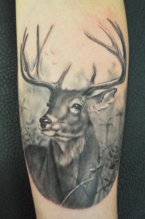 ¿Qué tipo de tatuajes de animales hay?