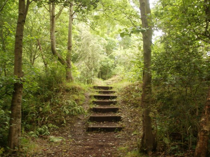 ¿Cuál es la diferencia entre la reserva y el parque nacional y el zakaznik?