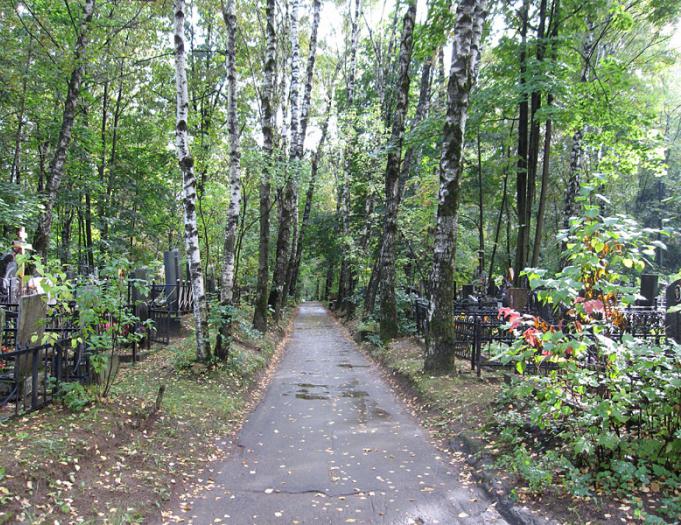 Cementerio de Kotlyakovskoe