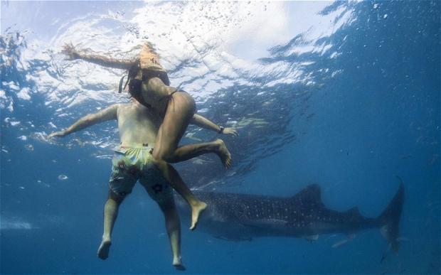 ¿Los tiburones viven en el Mar Negro?