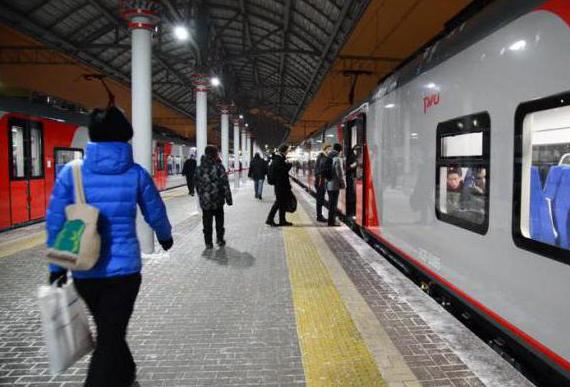 cómo llegar desde la estación de Leningrado hasta el nieto del aeropuerto 