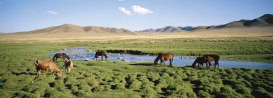 Clima de Mongolia Ubicación geográfica y hechos interesantes