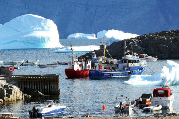 Mar de Groenlandia: descripción, ubicación, temperatura del agua y fauna