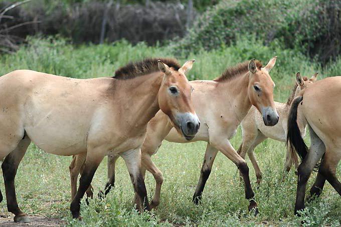 parque nacional nacional del estado