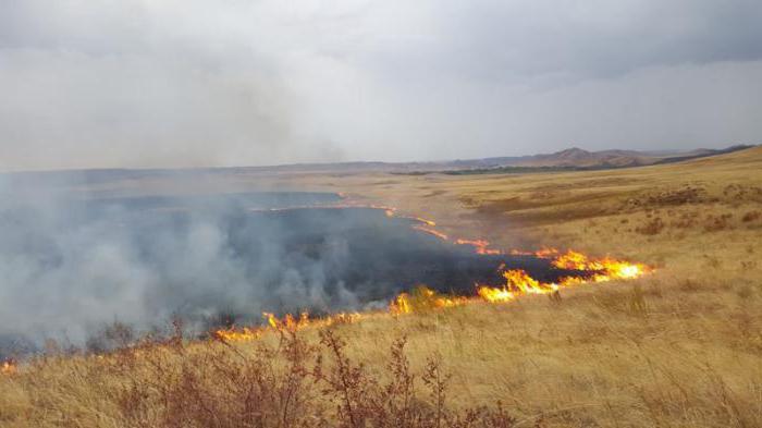 definición del término fuego