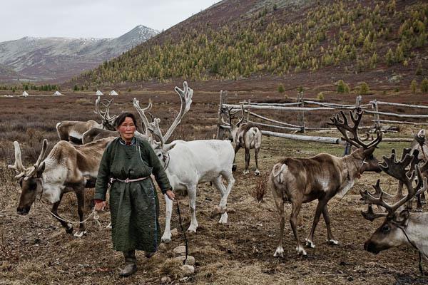 tundra conservación de la naturaleza