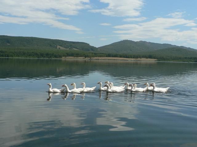 Lago Uzunkul: descripción, donde se encuentra, foto