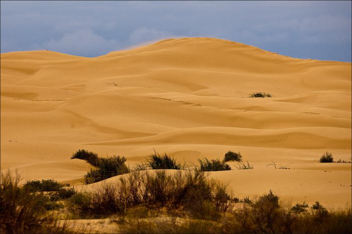 Sand barkhan. ¿Qué es un barkhan y cuál es su papel en la vida del desierto?
