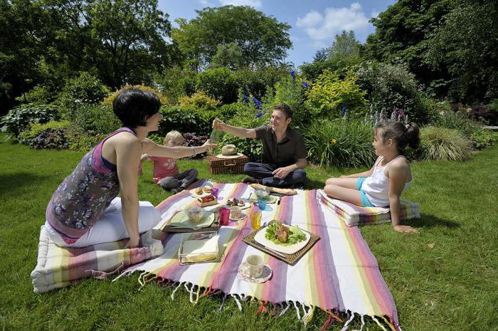 Un picnic es una comida en el seno de la naturaleza