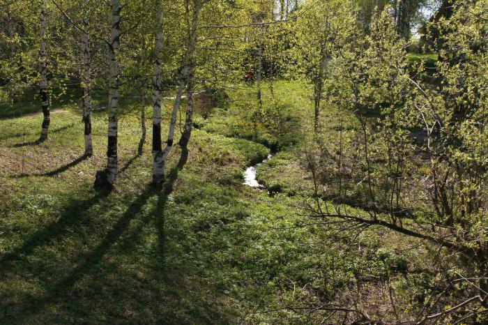 ¿Dónde está ubicada la fuente del río Kama? Geografía y hechos interesantes