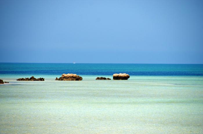 ¿Cuál es el mar en los EAU? ¡Lo descubriremos!