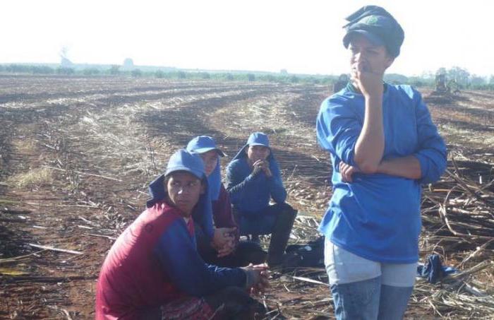 El concepto de tierra y el derecho de uso ilimitado