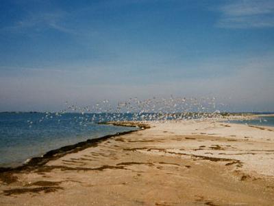 Vistas de Berdyansk - el mar, el aire y el agua?