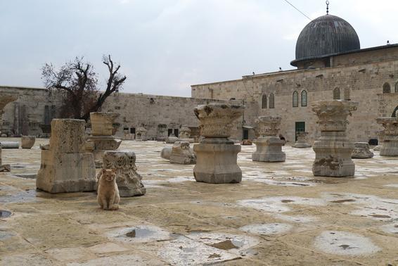 Monte del Templo: el santuario de las tres religiones