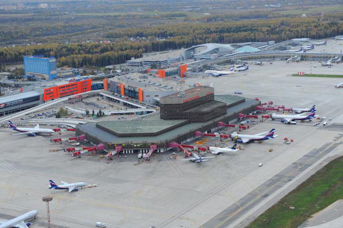 Estudio del plan aeroportuario de Sheremetyevo - asistencia para pasajeros