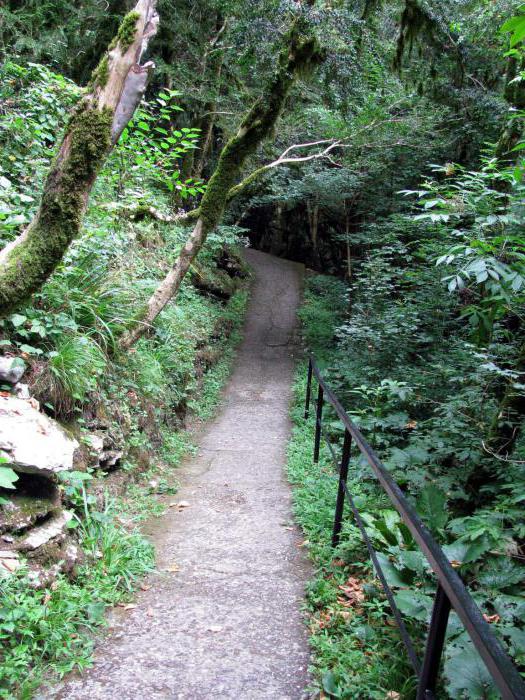 Navalishensky Gorge Sochi