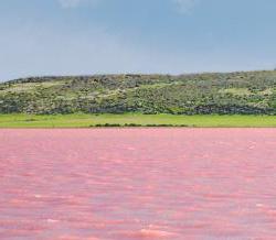 Raspberry Lake (territorio de Altai). El secreto de la unicidad