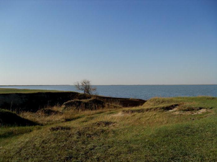 pequeño lago de primavera opiniones