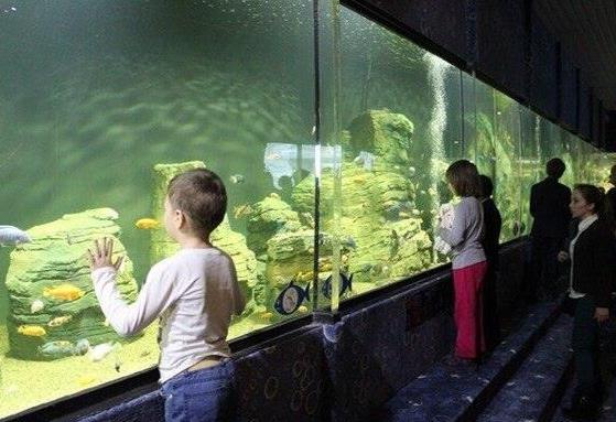 Oceanarium (Kazan): críticas de turistas y fotos