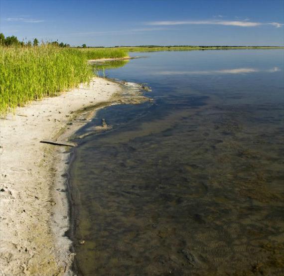 Lago Solyoye, la región de Kurgan 