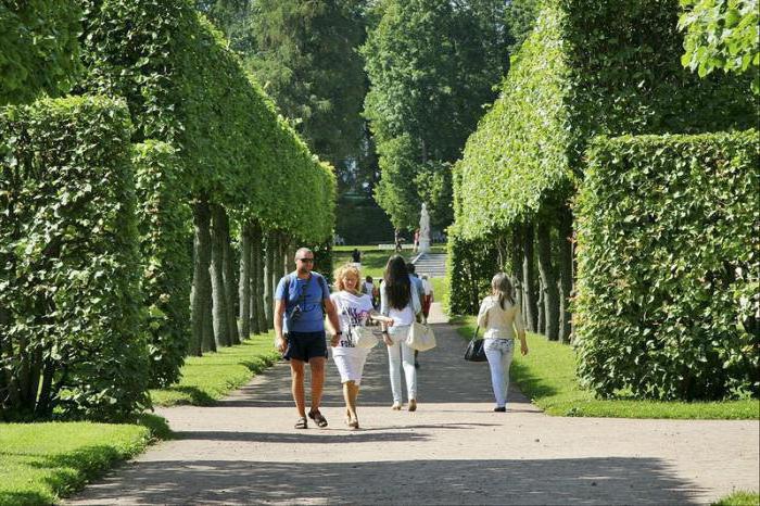 dirección del parque de catherine