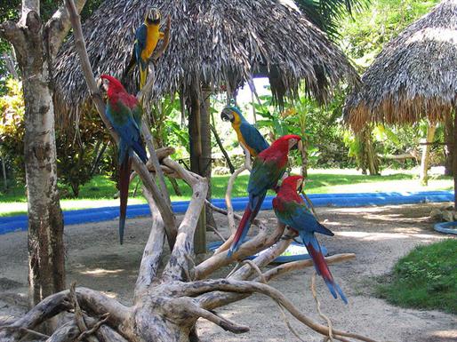 Foto de República Dominicana Punta Cana