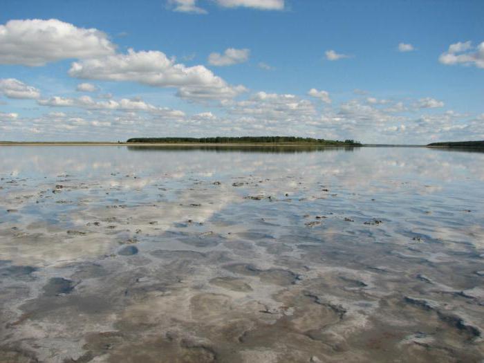 el lago del oso La región de Kurgan es salvaje