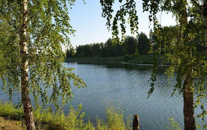 Pesca en Tyumen: ríos, lagos, lugares de peces