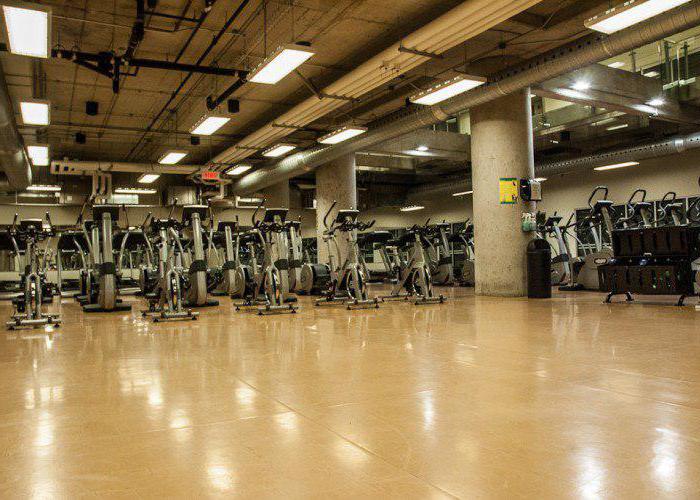 gimnasio selmash crecimiento en don