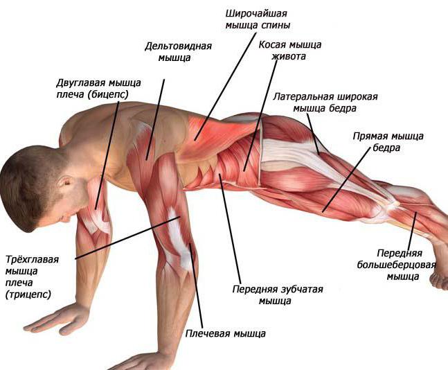 ejercicio escalador en el que los grupos musculares