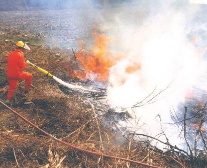 Clasificación de incendios: clases de fuego y sus variedades