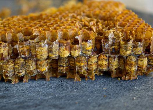 pan de abejas opiniones