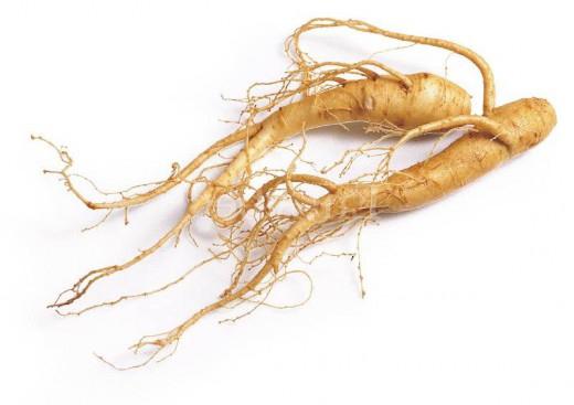 Ginseng: propiedades y contraindicaciones útiles, comentarios